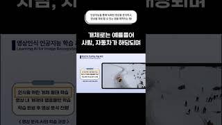 인공지능을 통해 CCTV 영상 분석, 재생, 통계를 확인 가능한 앱을 제작해보자!(인공지능 영상 분석, 사람 인식, 행동패턴 학습)(에스원과 유사) #앱 #cctv