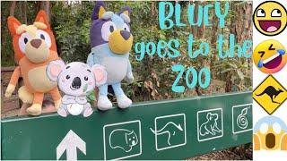 ‼️BLUEY AND BINGO AT THE ZOO!! 