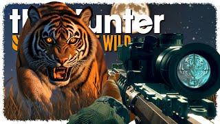 HUNTING TIGERS at NIGHT is SCARY (ᵐᵃᵍ ᵈᵘᵐᵖᶦⁿᵍ ᵉᵛᵉʳʸᵗʰᶦⁿᵍ ᵗʰᵃᵗ ᵐᵒᵛᵉˢ) | theHunter: Call of the Wild