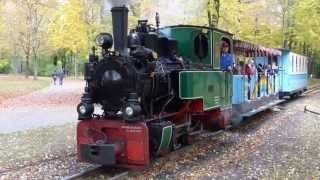 23. internationales Feldbahntreffen Chemnitz Küchwald 2013