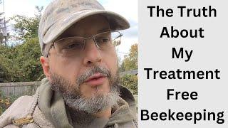 Beekeeping: Was My Treatment Free Approach Effective?