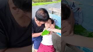 Ketika Ara Digigit Tungir Tongo Di Ketek. Papa Ambil Pake Daun Sirih ️