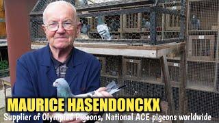 MAURICE HASENDONCKX - Supplier of Olympiad pigeons and Ace pigeons worldwide