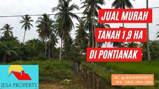 Jual Tanah Murah 1,9Ha Di Pontianak Kalbar