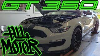 GT350 All Motor Dyno with Kooks Headers and JLT Cold Air (at Brenspeed)