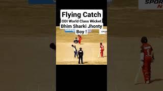 Bhim Sharki Jhonty Boy ! Flying Catch Wicket #nepal #nepali #cricket #sandeeplamichane #bhimsharki