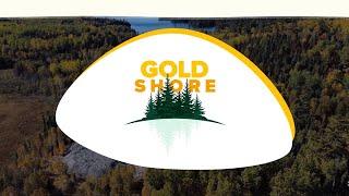 Goldshore's CEO Shares Updates on Winter Exploration and Drilling Programs