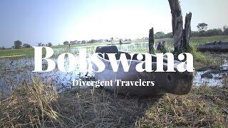 BOTSWANA TRAVEL | Top Things to Do & See