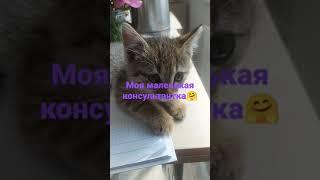 Нужно очень внимательно слушать и всё записывать.Приходи ко мне в офис и я обучу всем фишкам.