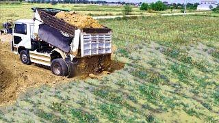 Nicely Job Project!Trucks Filling land Flood Area Feild Develop, Bulldozer Pushing Soil Perfectly