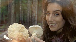 Find and Identify the Matsutake Mushroom - Pine Mushroom -  S2E8