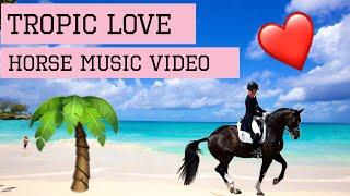 Diviners feat. Contacreast-Tropic Love || HORSE MUSIC VIDEO