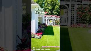 Beautiful Garden #trendingshorts  #canada #shorts #youtubeshorts #shortsfeed #ytshorts