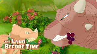 Star Day Celebration!  | Full Episode | The Land Before Time