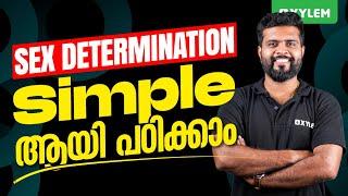 Sex Determination Simple ആയി പഠിക്കാം | Xylem 12 CBSE