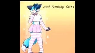 cool femboy facts :3