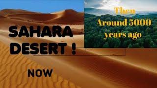 From lush to arid: The remarkable transformation of the Sahara Forest into the Sahara Desert. 