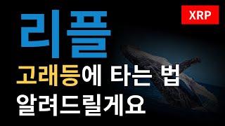 [리플 분석] XRP 고래등에 탑승하는 법 알려드립니다 자리 얼마 안남았어요