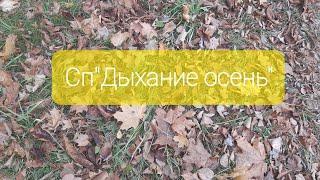 #сп_дыхание_осени_итоги