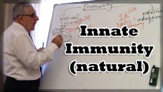 Innate Immunity (natural)