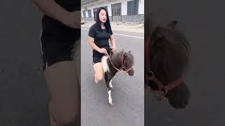 Amazing Pony Moments! Training & Riding Pony with a Fun on Road!  0316