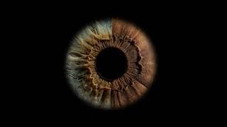#eye #iris #photo My latest designs for Iris photo shoot I hope you like it.