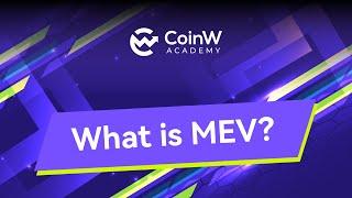 What is MEV?