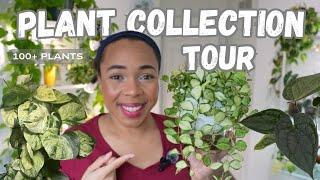 Houseplant Collection Tour 2025 || 100+ plants & CARE TIPS