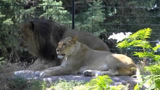 Idaho Falls Zoo