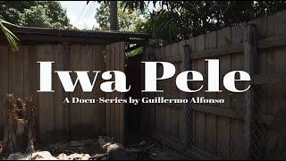 Iwa Pele pt 1. A documentary about IFA and Santeria from the Diaspora. From Miami to Africa. Ase O!