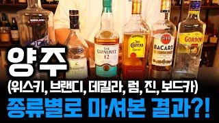 양주, 종류별로 마셔봤습니다!(feat. 니들이 양주맛을 알어?)