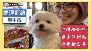 #瑪爾濟斯之歌的Cooper｜新北耶誕城週邊｜#寵物友善餐廳｜ #黃石市場 手沖咖啡｜捷運府中站｜紳士咖啡｜＠珊蒂微AI