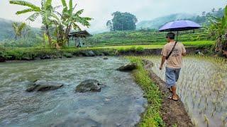 MASYA ALLAH TIDAK DI SANGKA Seenak Ini Datang Ke Kampung Yang Indah Pemandangan Alam Desanya