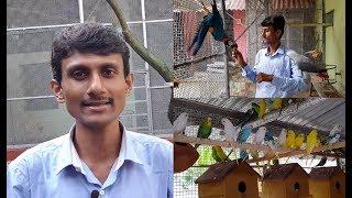 Bird Breeding And Earning Money Tips / How To And With Which Birds Should Start Bird Breeding Tips.