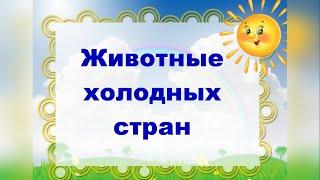 Животные холодных стран