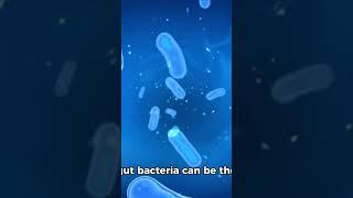 Role of gut bacteria in digestion: Seniors Guide