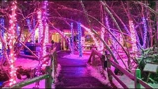 Experience the magic of ZooLights at Stone Zoo