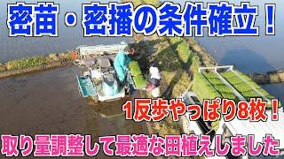 【密苗の条件】密播の田植えの条件を確認しました 密播1年生 30代米作り奮闘記#201