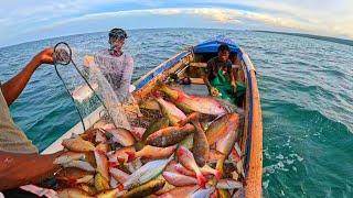 EPIC 6HRS SNAPPER & PARROT FISHING‼️14 MILES FROM HOME‼️