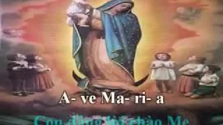 Ave Maria con dang loi chao Me