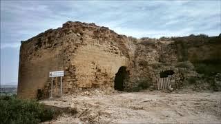 Huerto  Huesca