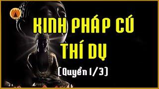 Kinh Pháp Cú Thí Dụ (QUYỂN 1/3) - Những Bài Pháp Ngắn Thông Qua Các Câu Chuyện Nhân Quả Thiện Ác