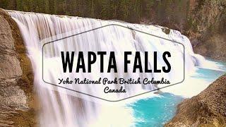 Wapta Falls | British Columbia, Canada | StepHenz Vlogs