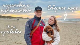 ОЧЕНЬ НЕОБЫЧНОЕ НАЧАЛО ГОДА В НИДЕРЛАНДАХ. Заплыв в Северном море, подготовка к путешествиям и быт