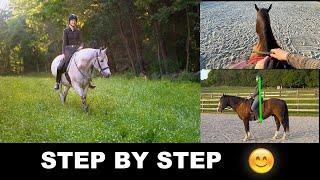 HOW TO RIDE A HORSE FOR BEGINNERS (STEP BY STEP) 