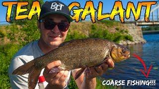 COARSE FISHING IN THE MIDDLE OF SWEDEN | Team Galant