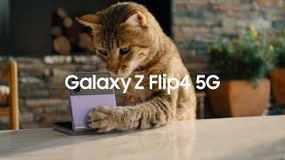 Galaxy Z Flip4 5G: Launch film | Samsung