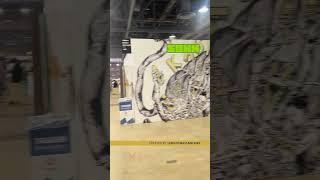 SOHH On The Scene: Complex Con 2023