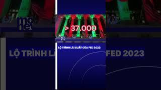 Nhìn lại lộ trình lãi suất của FED 2023 #vtvmoney #fed