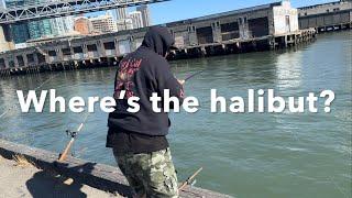 ALL STRIPER FISHING @ local piers in SF BAY